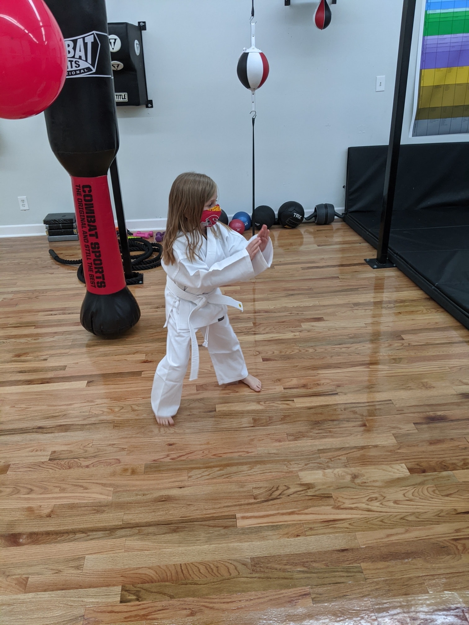 Tiny Warriors
